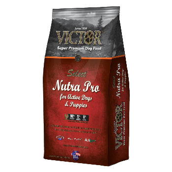 Victor active dog top and puppy food
